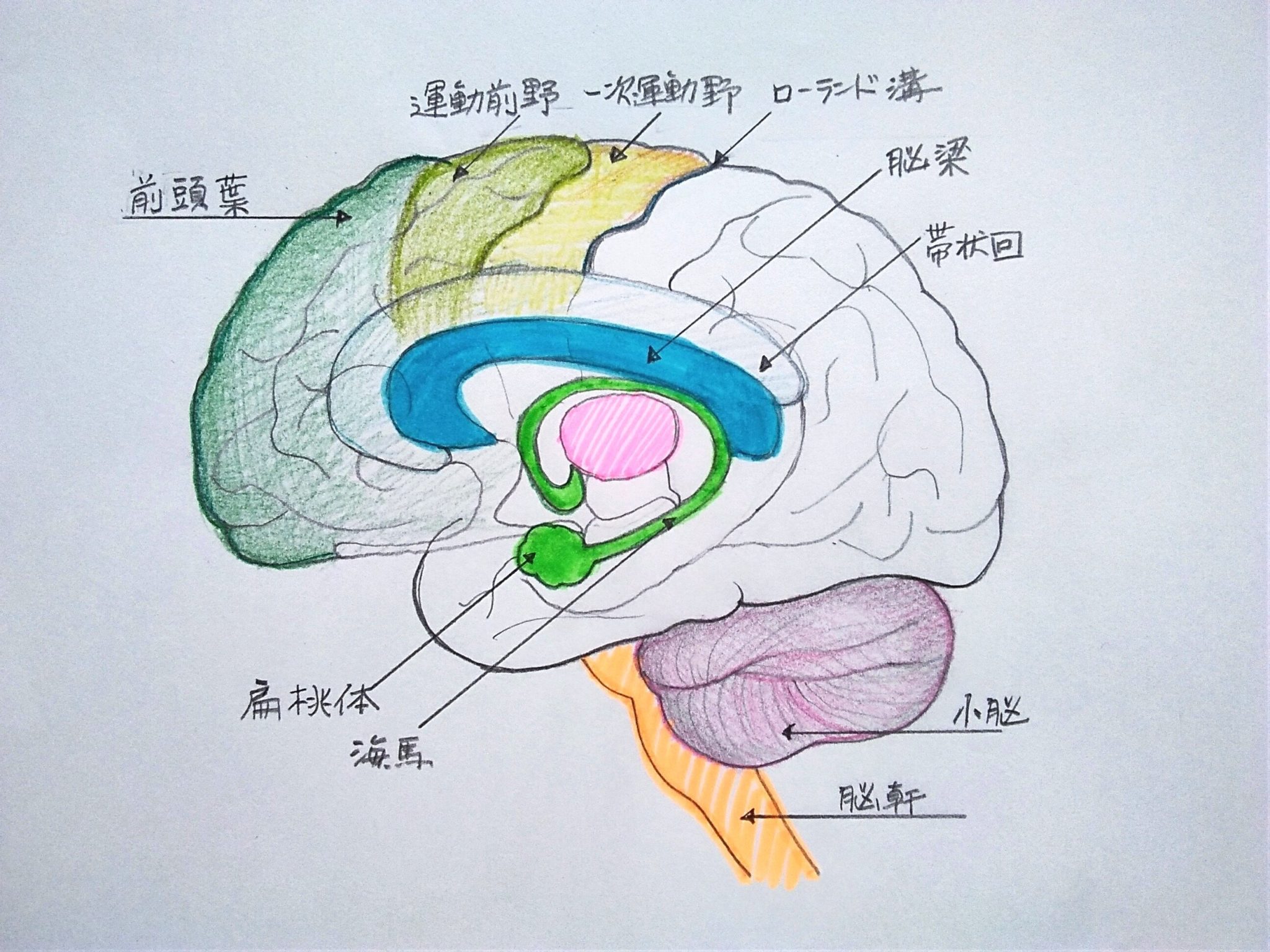 相互作用の防止